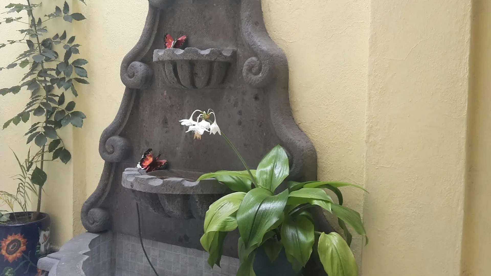 Hotel Posada Diamante Queretaro